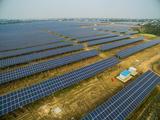 Interview: Climate scientist optimistic about China's role in global climate actions