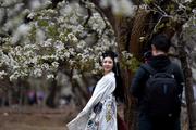 China's tourism revenue to reach 195 bln USD in H1: CTA