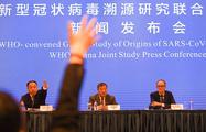 Timeline: China's prompt release of COVID-19 information, experience-sharing