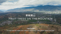 A Different Dali - Fruit Trees on the Mountain