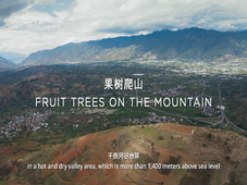 A Different Dali - Fruit Trees on the Mountain
