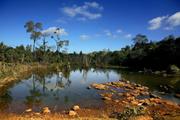 Chinese firm signs MoU on agriculture development project in Laos