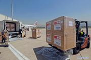 Two batches of Chinese-made vaccines arrive in Lebanon 