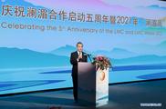 China to promote LMC with Mekong countries: Chinese FM