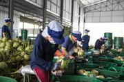 ​Thai National Shippers' Council upgrades expected growth rate of exports to pct 6-7