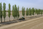 China to step up financial services for new agricultural businesses