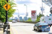 China's Guangdong lychees make billboard appearances overseas
