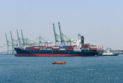 Exports to China benefit nearly all U.S. states, industries: USCBC 