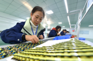 China's electronic information manufacturing sector sees steady growth