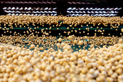 China's bulk commodity market reports growth expansion