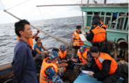 China, Vietnam release fish, shrimp into Beibu Gulf