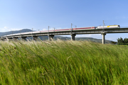 Chinese-built Ethiopia-Djibouti railway transports 3.45 mln tons of goods in 3 years