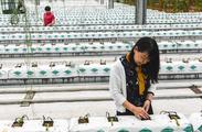 China sees progress in employment for relocated rural people