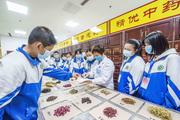 China sees progress in preservation, innovation of TCM: report