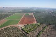 China to follow WTO procedures regarding Australian barley disputes 