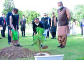 Friendship tree planted in Pakistan to mark 70th anniversary of diplomatic ties with China 