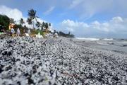Feature: Chinese scientists help Sri Lanka cope with marine disasters, climate change 