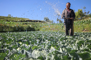 Across China: Chinese researchers enhance agricultural cooperation with Pakistan