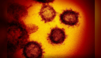 Xinhua Commentary: Virus origin-tracing should be conducted in multiple countries