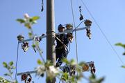 China's power use to rise around 6 pct in H2: report