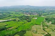 China Focus: Experts focus on biodiversity as COP15 approaches