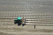 ​Representatives of int'l industry bodies, foreign firms to visit Xinjiang: MOC 