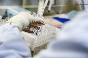 China urges probe into U.S. bio-lab over coronavirus "lab-leak" theory