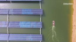 Solar panels above fishery water boost shrimp farming in E China