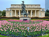 March Keywords: Jing'an in bloom