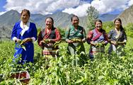China issues white paper on human rights progress through moderate prosperity attainment 