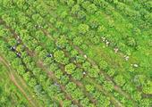 Xinhua Commentary: A right view on China's pursuit of common prosperity