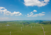 China's carbon market running smoothly: ministry