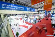 China Focus: Low carbon development diversifies China-Arab energy cooperation