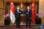 China, Singapore pledge to deepen pragmatic cooperation in multiple fields 