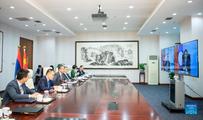 Chinese FM meets Lao counterpart via video 