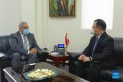 China to support Lebanon's sovereignty, independence, territorial integrity: ambassador