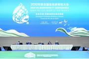 Ministers, delegates pool wisdom on biodiversity conservation at UN conference