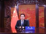 Chinese vice premier stresses advancing China-Russia energy cooperation