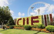 4th CIIE launches trial of country exhibition