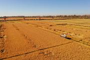 Chinese premier stresses importance of autumn harvest to food security, stable prices