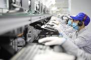 China's software sector records revenue growth in Jan.-Sept.