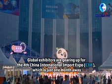 GLOBALink | Global exhibitors make final preparations as import expo nears