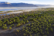 Tibet issues more green credit