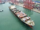 China's foreign trade maintains growth momentum in first 10 months
