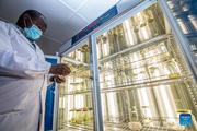 Feature: Kenya-China collaborative biotech research bears fruit
