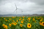 China urges developed countries to intensify efforts on climate change