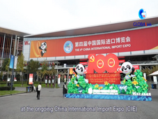 GLOBALink | Foreign companies eye rising opportunities in China via import expo
