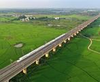 Power of resilience: How China navigates changing economic landscape