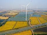 Interview: China's green BRI contributes to tackling climate change: British expert