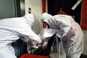 Expats confident in China's COVID-19 control measures
